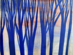 IMG_20240524_123853357